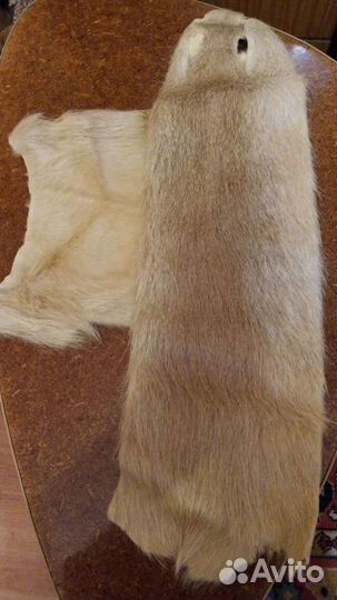 Шкурка нутрии 20*60 см