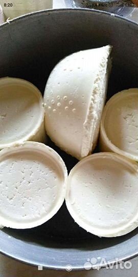 Козье молоко, козьи сыры