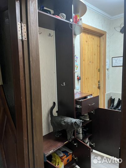 Шкаф открытый в прихожую