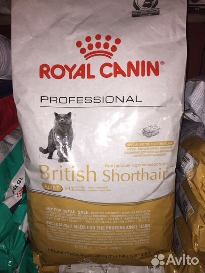 Асортимент Royal Canin корм для кошек и котят
