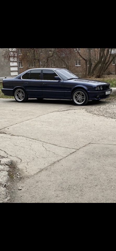 BMW 5 серия: фото владельца