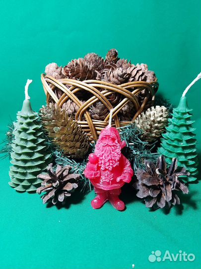 Шишки Лиственницы