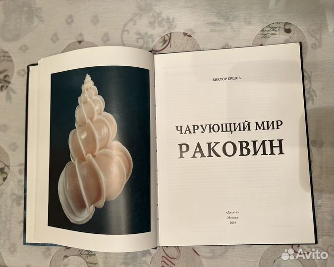 Ершов В.Е. Чарующий мир раковин, книга новая