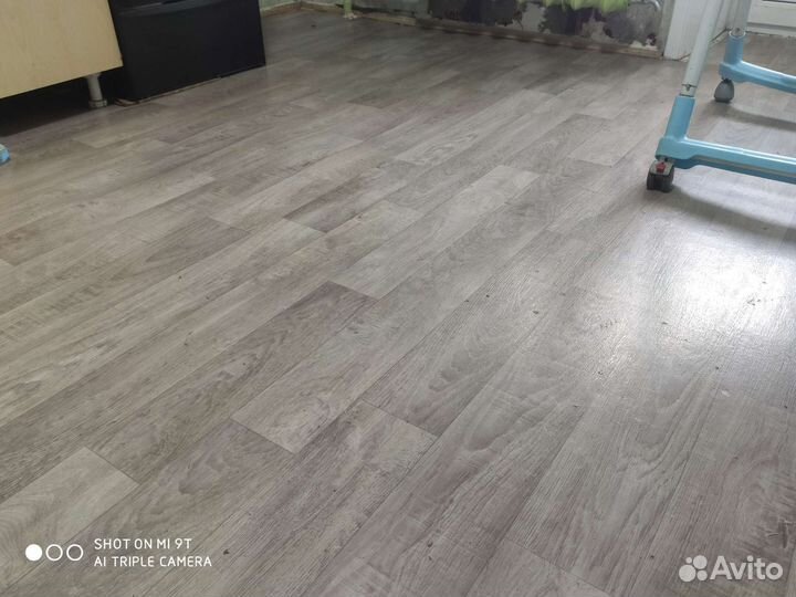 Уничтожение клопов и тараканов