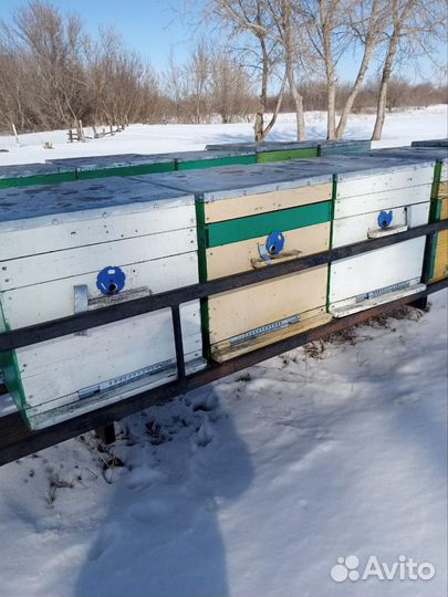 Ульи для пчел бу дадан