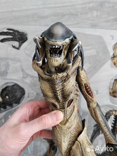 Hot Toys Predalien AvP