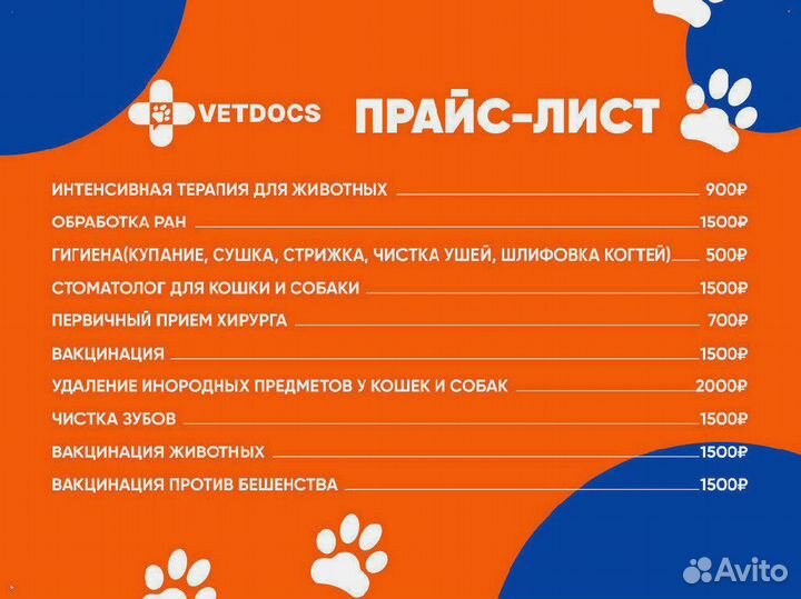 Скорая ветеринарная помощь. Ветеринарный врач