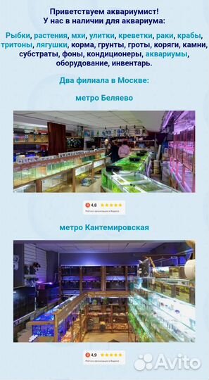 Аквариумные рыбки много в ассортименте магазина