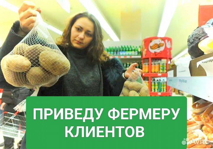Картофель оптом