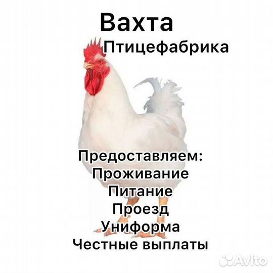 Разнорабочий на птицефабрику вахтой