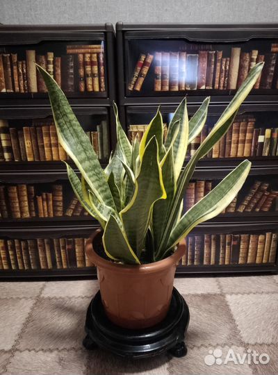 Подставки для цветов