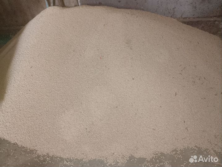 Горох кормовой