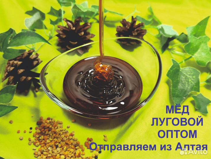 Алтайский мёд (опт.)