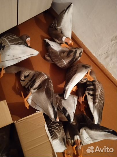 Чучела гусей для охоты