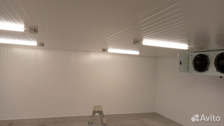 Морозильная камера для икры и рыбы