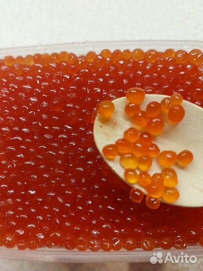 Икра красная(26.08.2023)