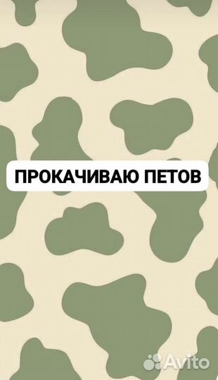 Петы в адопт ми