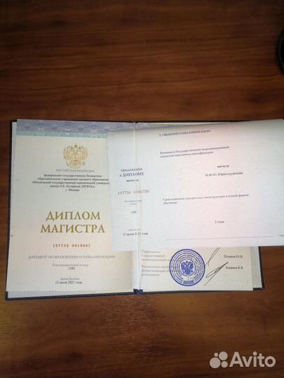 Бухгалтер, Налоговый консультант