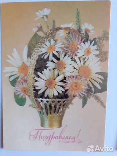 Открытки СССР 80 е годы