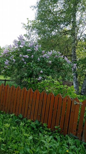 Дом 60 м² на участке 24 сот.