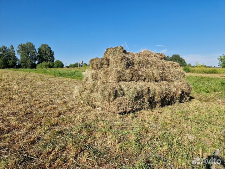 Сено в тюках