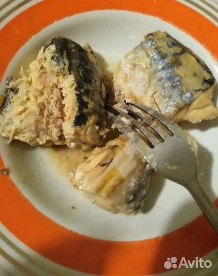 Тушёнка рыбная. Консервы рыбные. Скумбрия в с/с