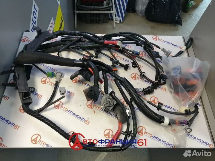 Проводка моторная, 240111497R renault duster