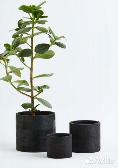 Кашпо/горшок hm home