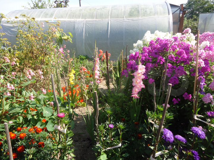 Дача 36 м² на участке 8 сот.