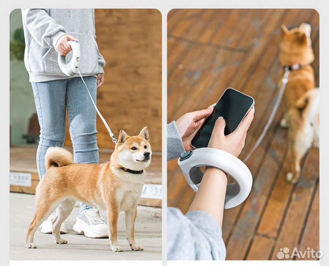 Поводок рулетка с подсветкой 3 м и брезентовый 5 м