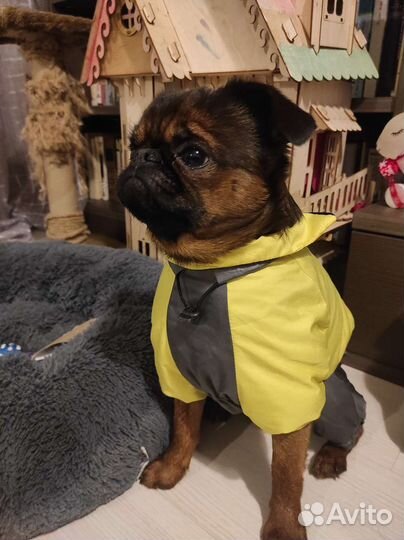 Зимний жилет для собак