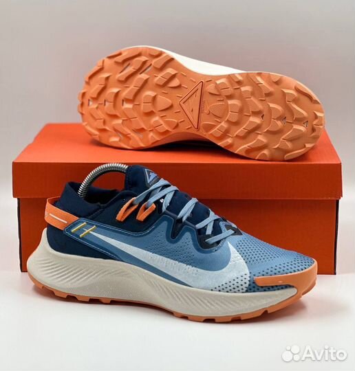 Кроссовки мужские Nike Pegasus Trail 2