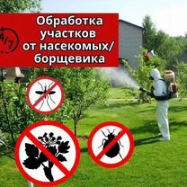 Уничтожение клещей,комаров,борщевика, короеда, ос, Северодонецк