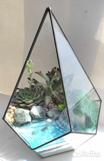 Флорариум суккуленты