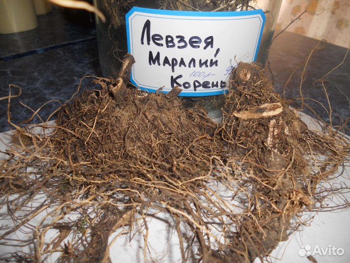Маралий корень