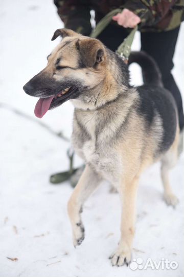 Молодая и активная девочка Валя