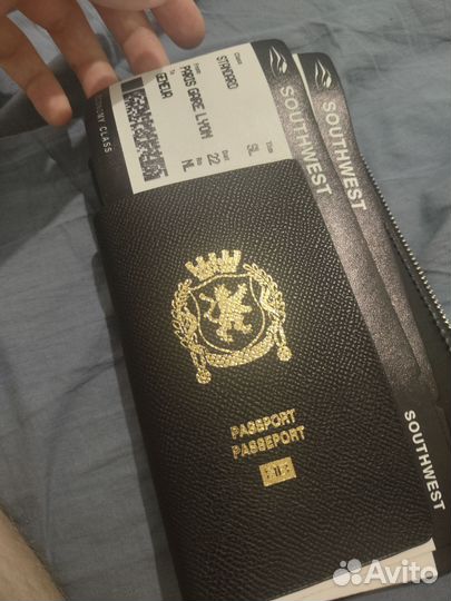 Сумка кошелек Balenciaga Passport type