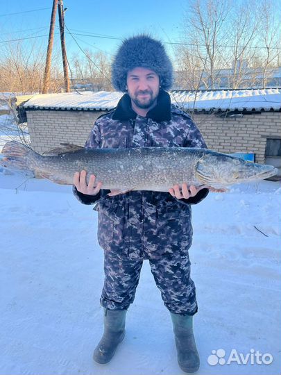 Консультации по рыбоводству и аквакультуре