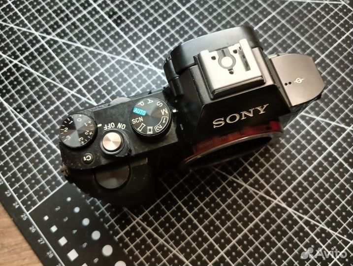 Фотокамера Sony Alpha ilce-7 Body black