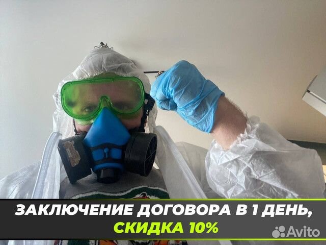 Уничтожение клопов, тараканов. Дезинфекция