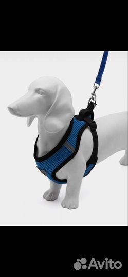 Шлейка для собаки
