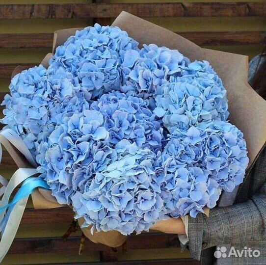 Живые цветы букеты гортензия, букет, доставка