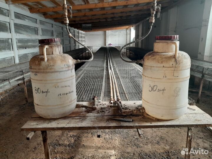 Клетка для кролика