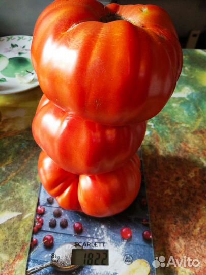 Семена коллекционных сортов