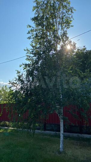 Коттедж 372,2 м² на участке 19 сот.