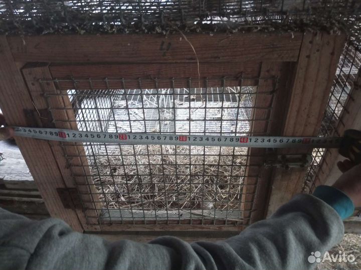 Клетки для кроликов бу