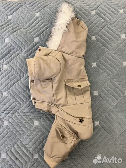 Одежда для собак зима