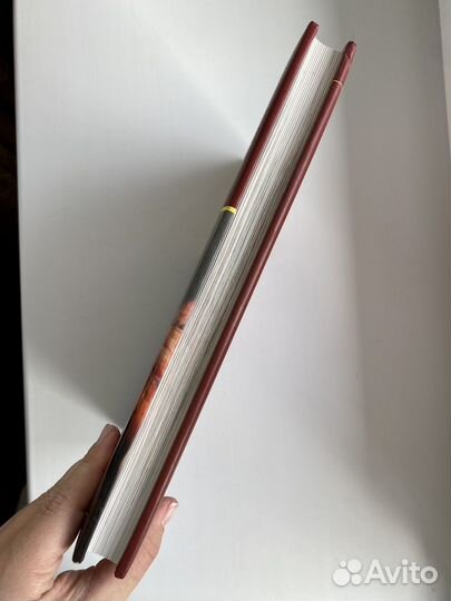 Книга рецептов Готовим на гриле, уроки шеф-повара