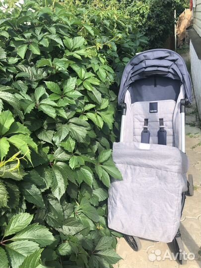 Inglesina quid или Oyster zero в прокат