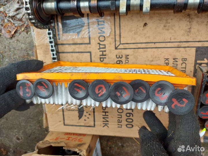 Гбц соната g4gc